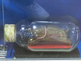 CIMG9207