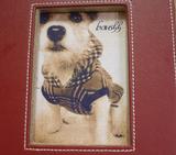 �����Ƥ���������