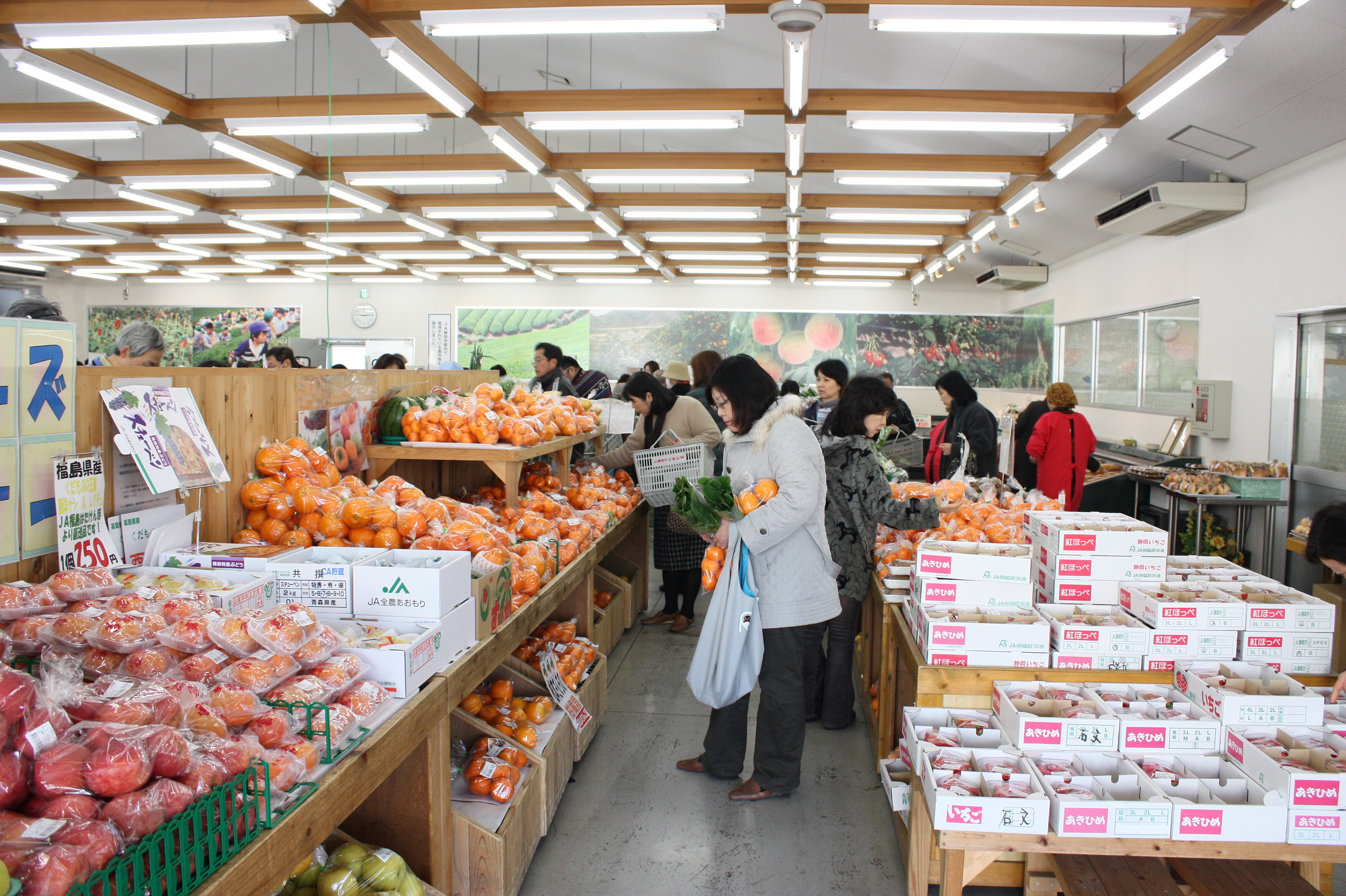 ブーゲンビリア望月農園のブログ はるみ