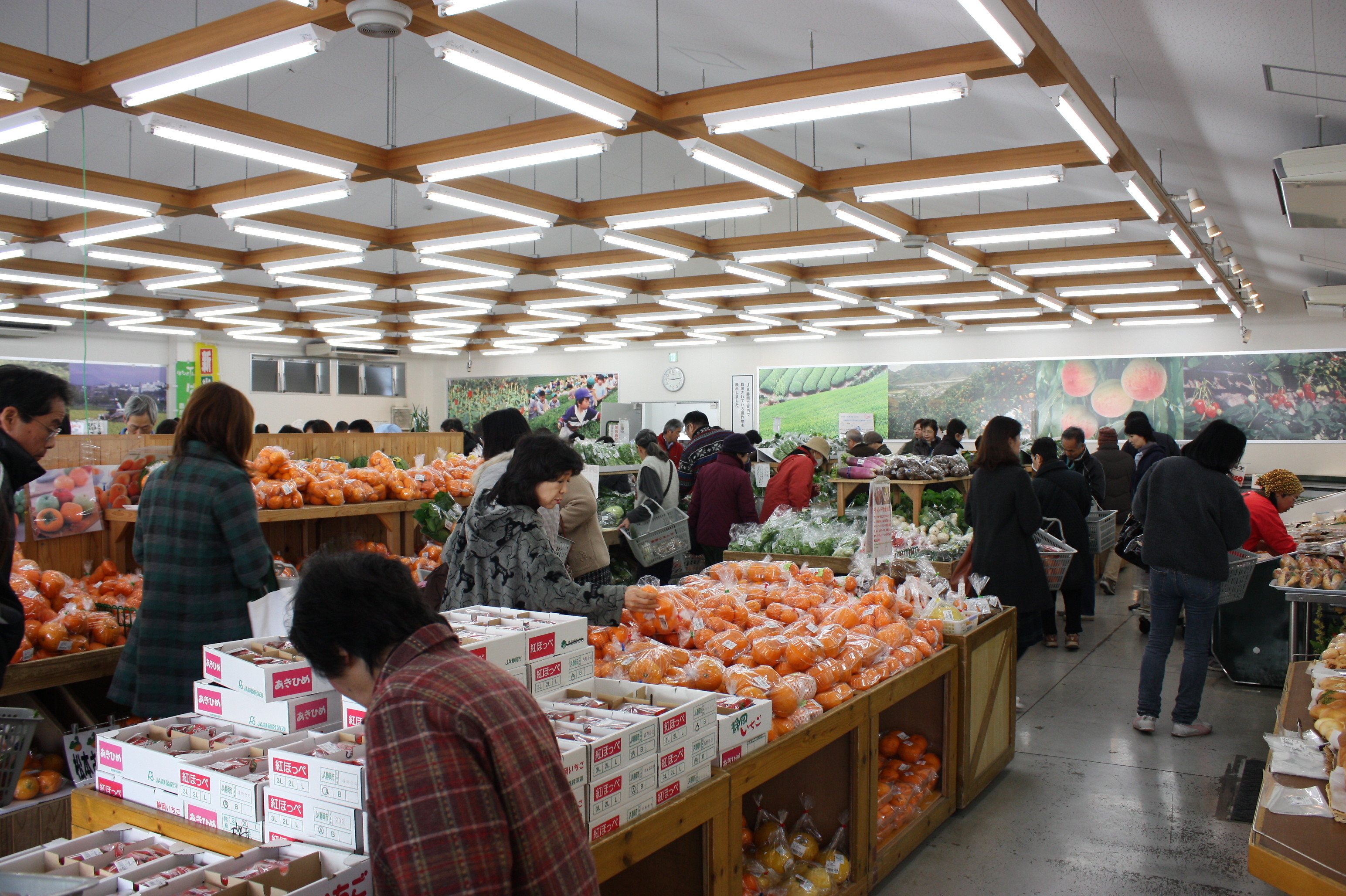 ブーゲンビリア望月農園のブログ はるみ