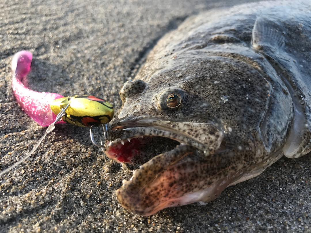 初心者必見 サーフでシーバス 釣れる ポイントを見つける裏技 某プロの 続 言いたいことも言えない こんな世の中じゃ 初心者必見 サーフでシーバス 釣れる ポイントを見つける裏技 某プロの 続 言いたいことも言えない こんな世の中じゃ