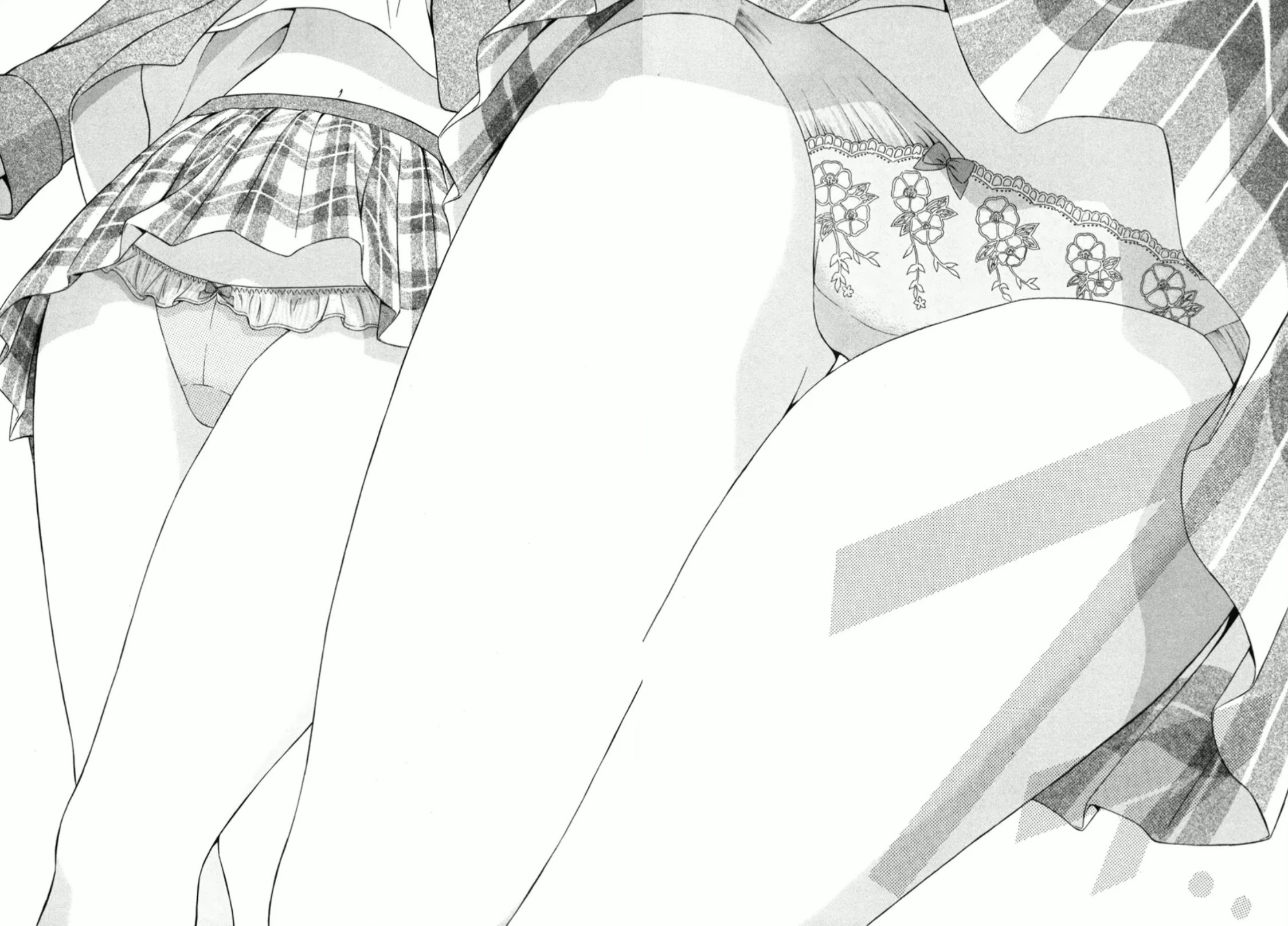 国会　パンチラ 