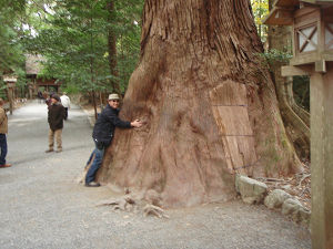 resize0972