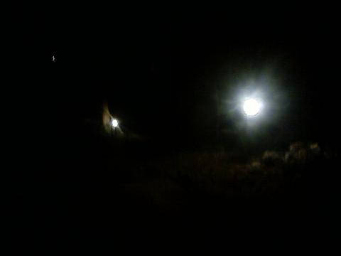432149eb.jpg
