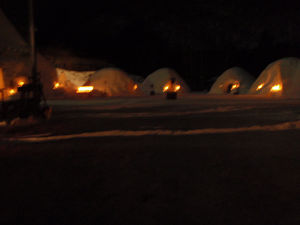 resize0771