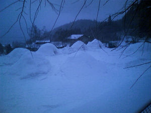 resize0728