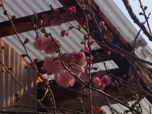 2014-04-26-07-09-53