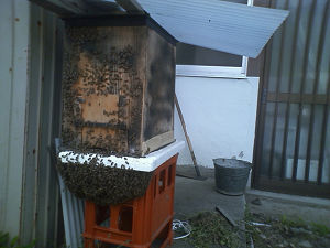 resize0846