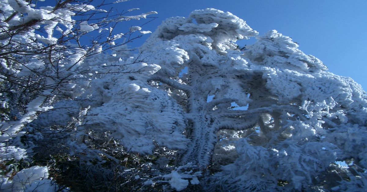 ツーリング（自動車＆自転車＆バイク）に関するWebメディア