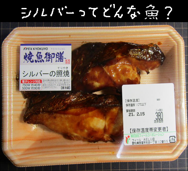 し の項 その9 Bouzuの釣り辞典 し の項 その9 Bouzuの釣り辞典