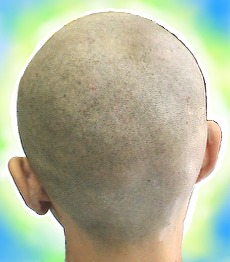 五厘学生服さんへのオマージュ 坊主大鑑