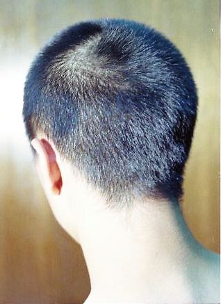 剃られるために生まれてきたような頭 坊主大鑑