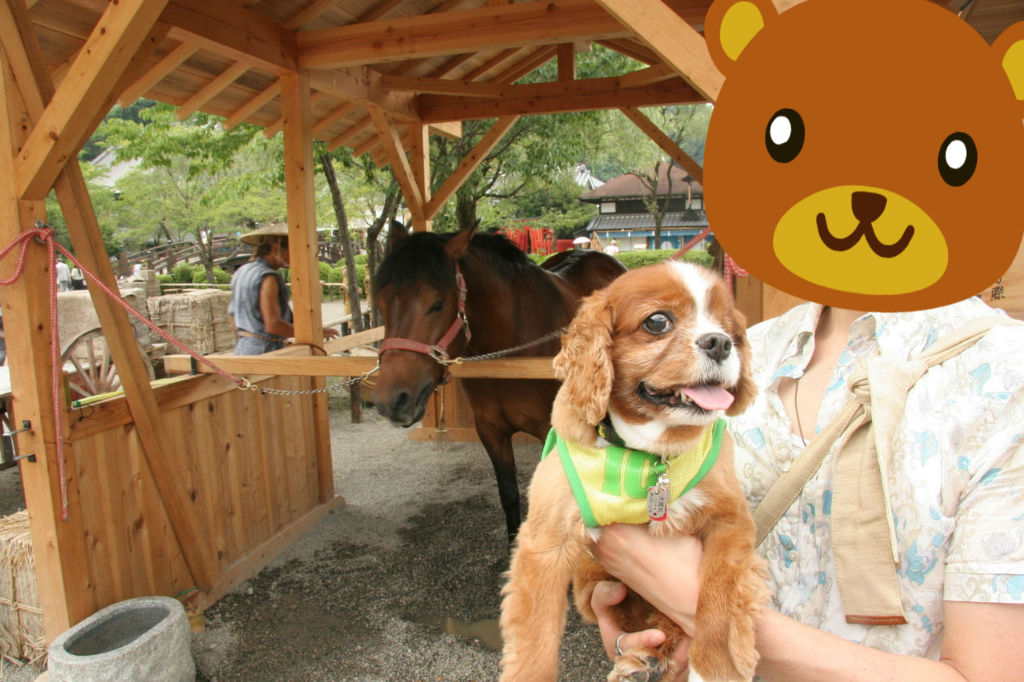 日光江戸村でござる ３ 片目のボーニュ先生とその家族がゆく