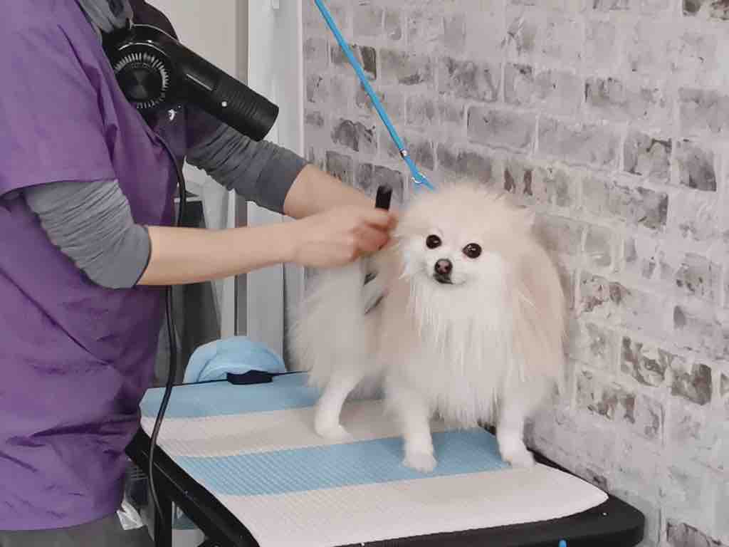 FullSizeRender