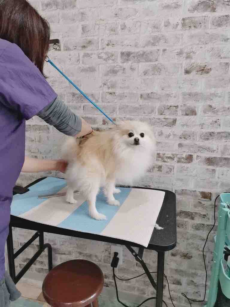 FullSizeRender