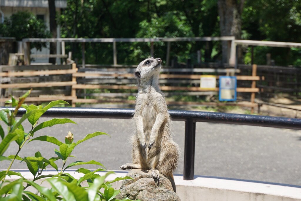 LINE_ALBUM_交流会(2022,5,25)_220525
