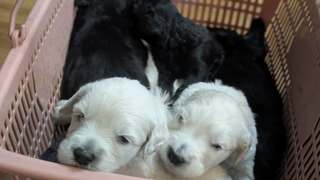 PXL_20260101_091701300.PORTRAIT