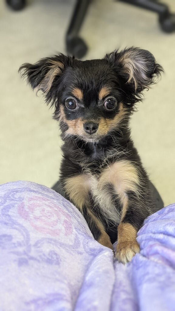 PXL_20260104_055722406.PORTRAIT