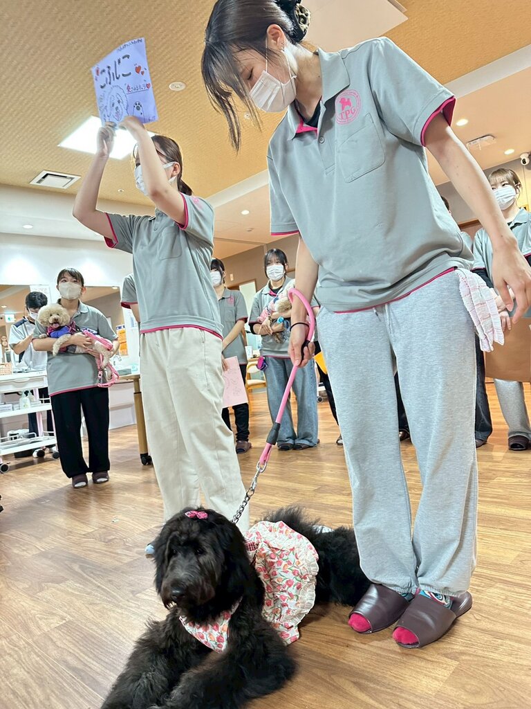 LINE_ALBUM_2026617PDハウス秋吉訪問活動_260624_39