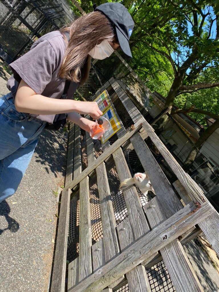 LINE_ALBUM_交流会(2022,5,25)_220525_8