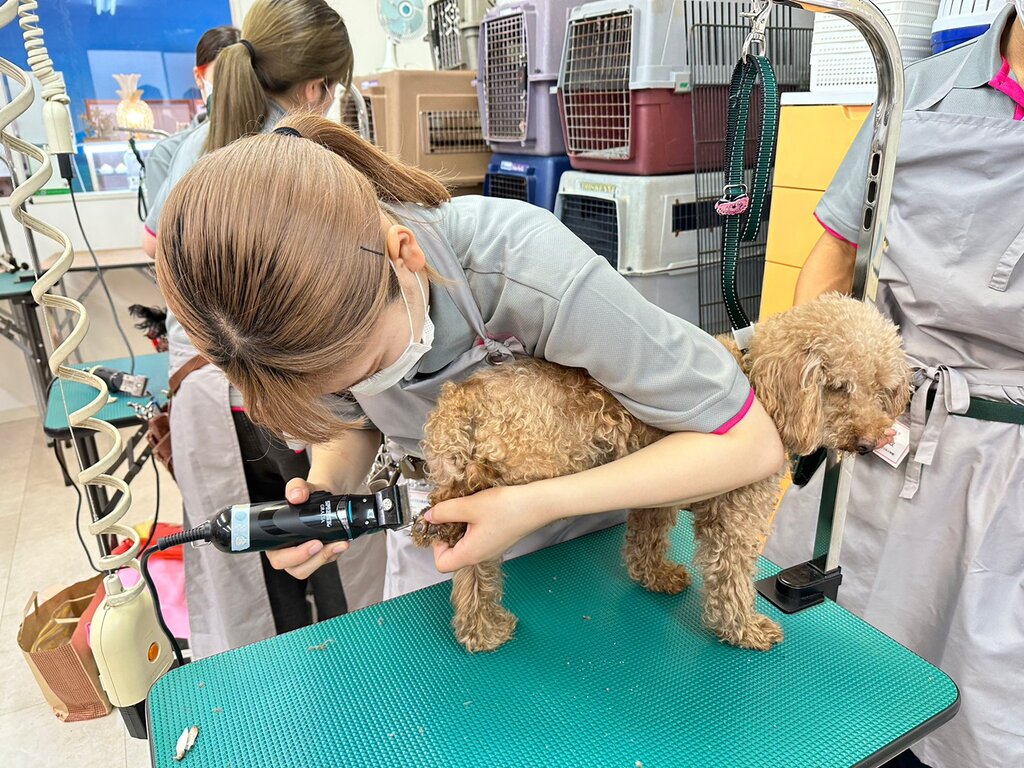 LINE_ALBUM_2023.6.23中間2日目_2306243