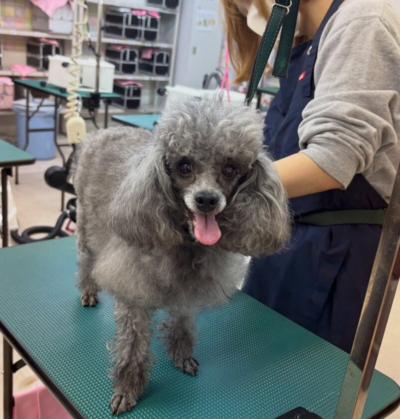スクリーンショット_29-7-2026_111111_www.instagram.com