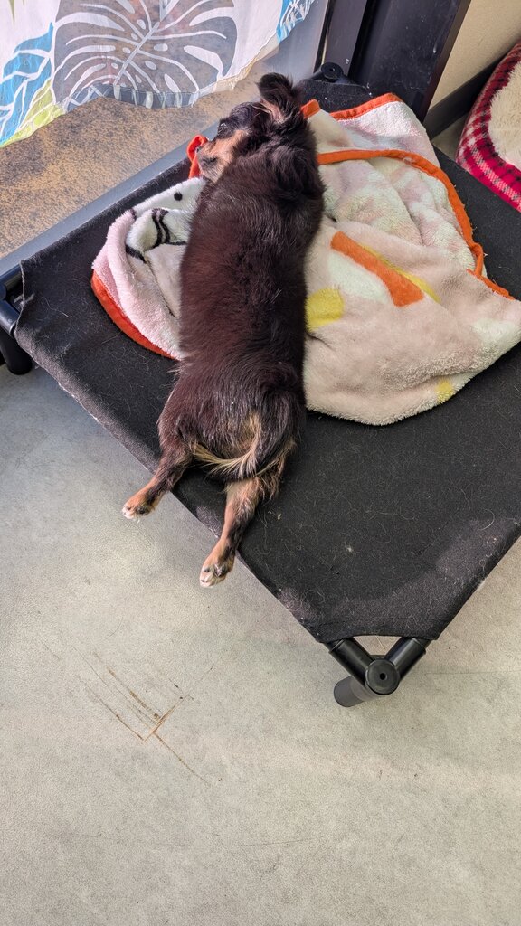 PXL_20251206_064635681.RAW-01.MP.COVER