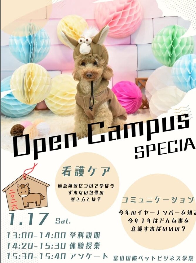 �����꡼�󥷥�å�_14-1-2026_154834_www.instagram.com