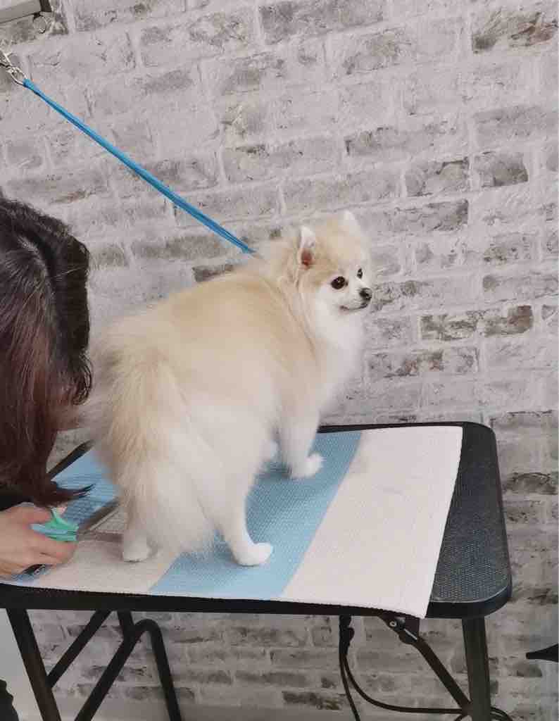FullSizeRender