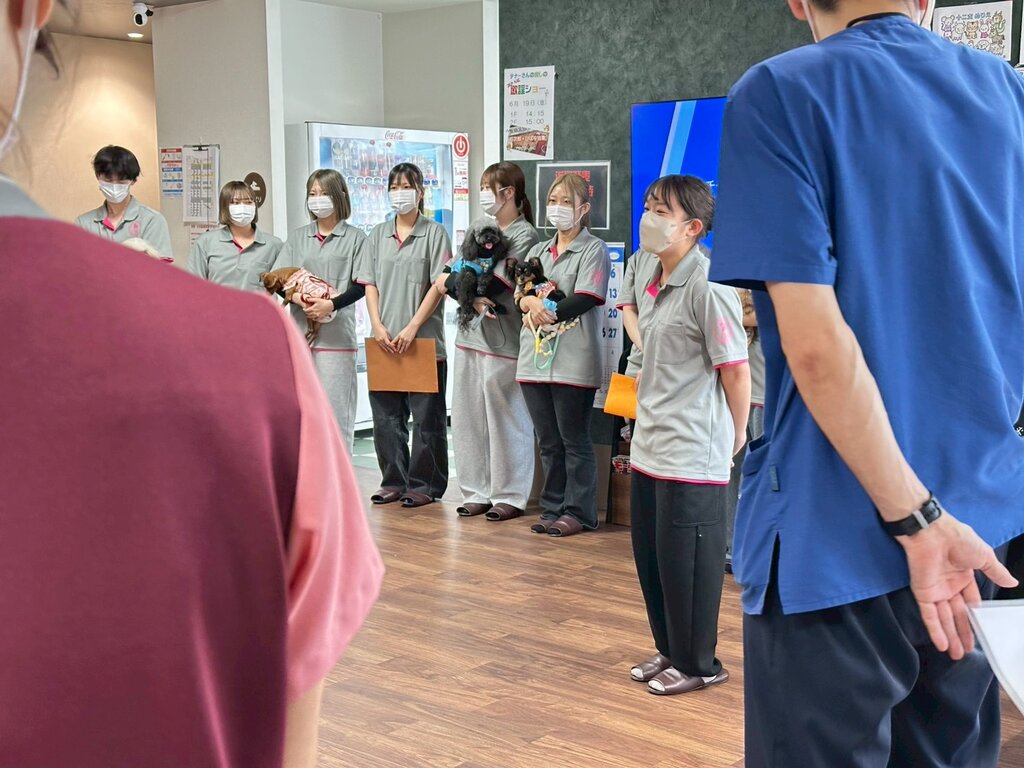 LINE_ALBUM_2026617PDハウス秋吉訪問活動_260624_8