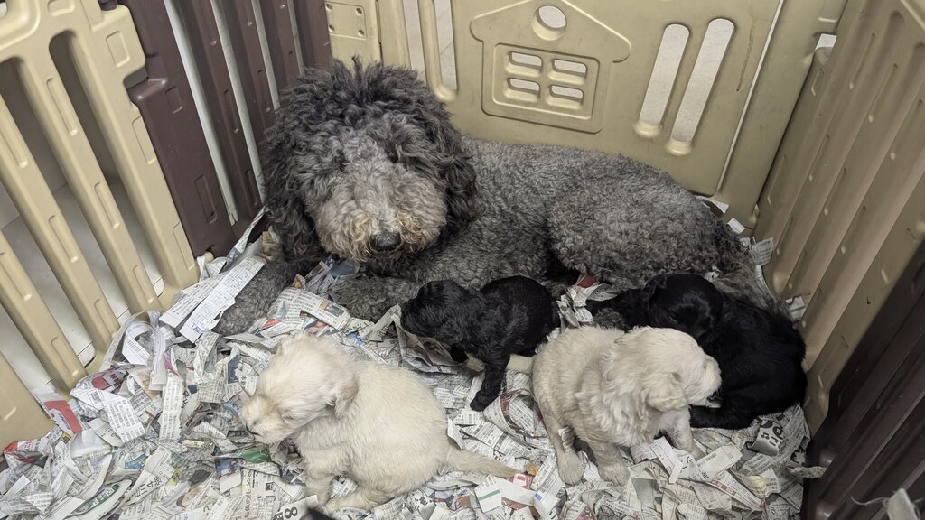 PXL_20260104_073346384.RAW-01.MP.COVER