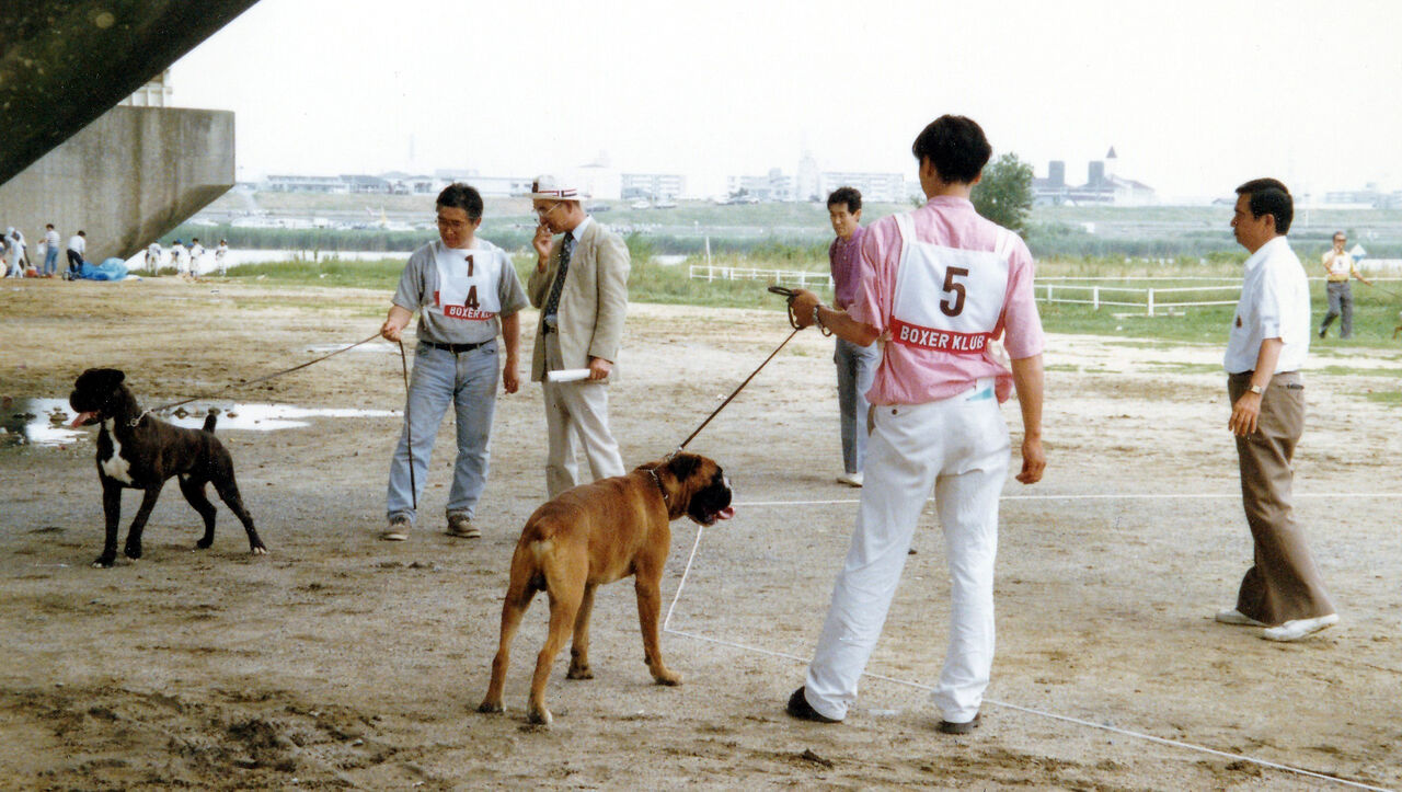 設立30周年記念 関西ボクサークラブのあしあと Vol 5 No Boxer No Life