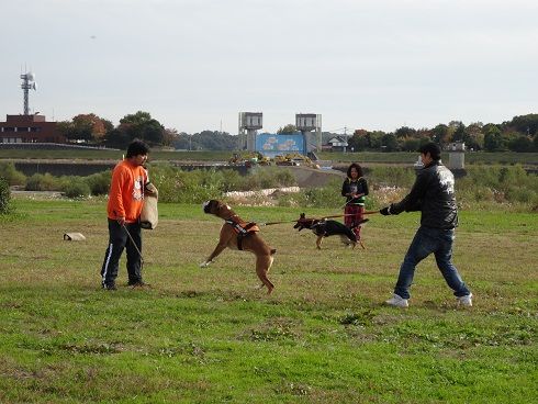 14年11月 No Boxer No Life