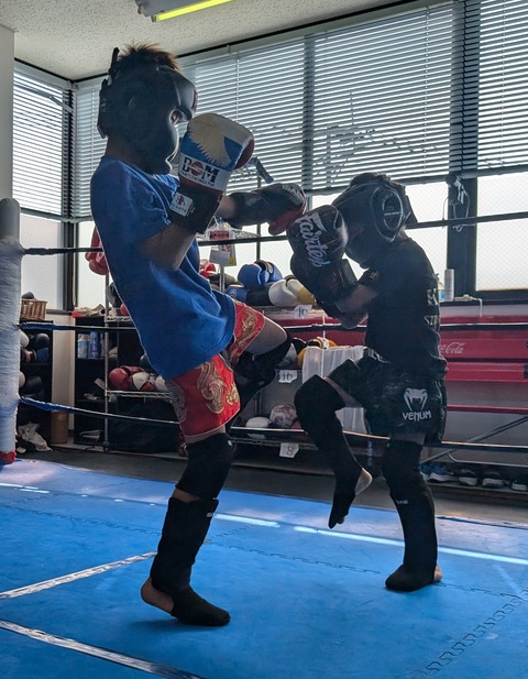 PXL_20251102_013253476