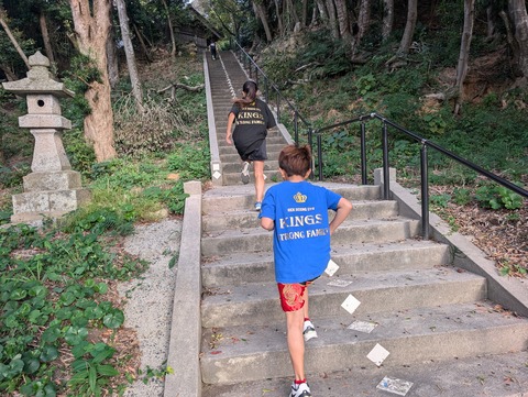 PXL_20251101_233847918