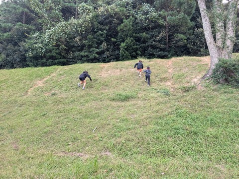 PXL_20251102_001431963