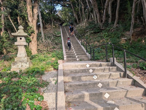 PXL_20251101_233915596