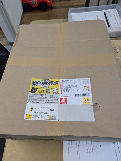 PXL_20241118_103859796