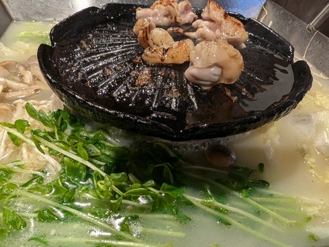 PXL_20240922_130327878