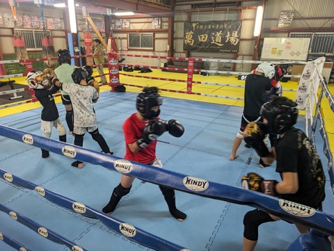 PXL_20251104_124110549