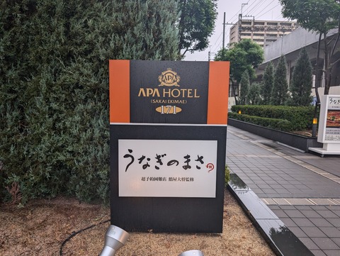 PXL_20240922_054516206