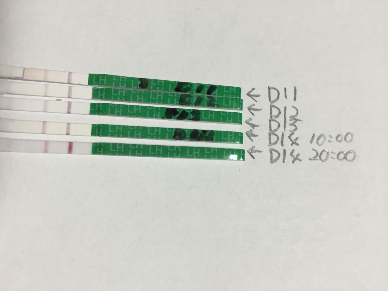 1周期目 D14 初めての女の子産み分けブログ