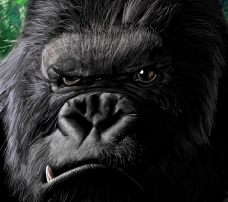 キングコング Bo Zのイラストボックス