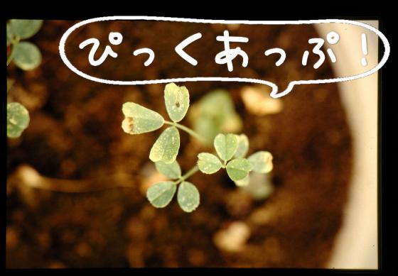 【HotTweets】ママ垢がやりがちな「子供にイライラをぶつけてしまったけど子供はナイスな振舞いで私を気遣ってくれた」的なツィート