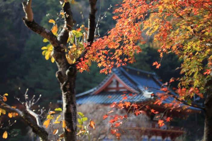 勝尾寺 3 Koro Blog 勝尾寺 3 Koro Blog