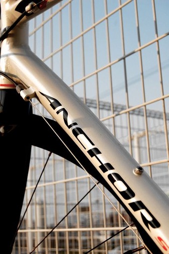 BICYCLE FOREVER FOREVER BICYCLE