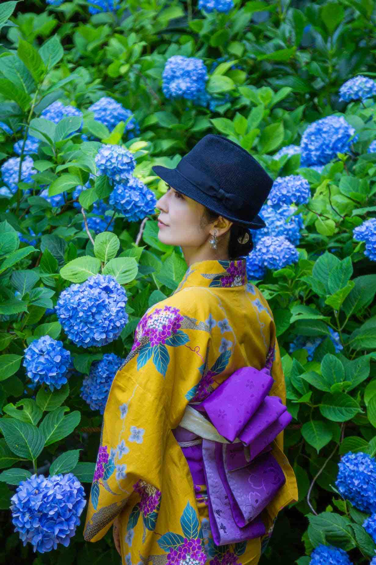 明月院ブルー 杏も今日とて ハッピーdays
