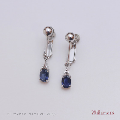 pt sapp earrings 180822