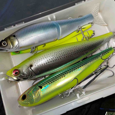 MEGADOG 180 | Megabass-メガバス