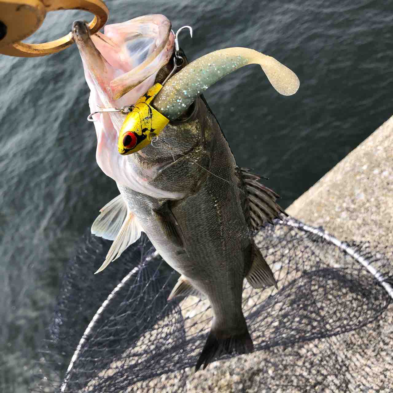 川崎新堤 どうしようもない シーバス ライトゲームな日々